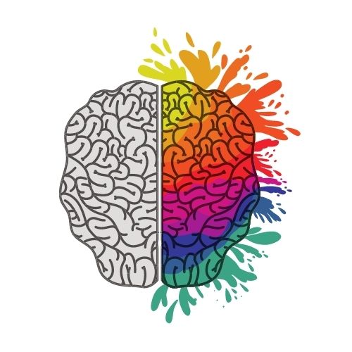 Brainpr Internet Technology OPC PVT  LTD